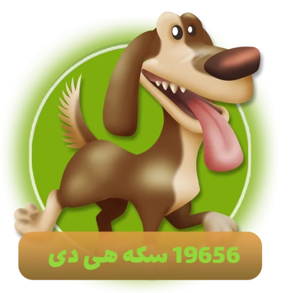 19656 سکه هی دی