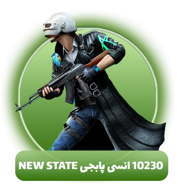 10230 انسی پابجی NEW STATE