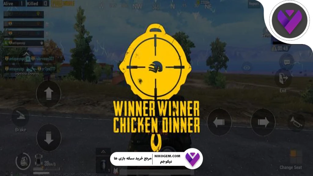 Chicken Dinner