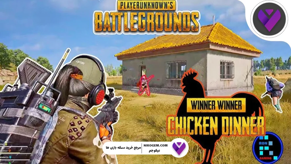 Chicken Dinner