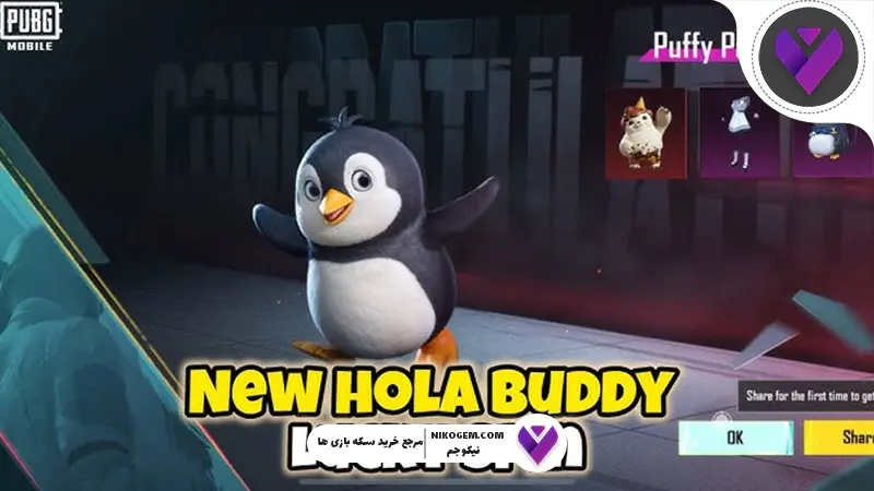 Hola Buddy پابجی