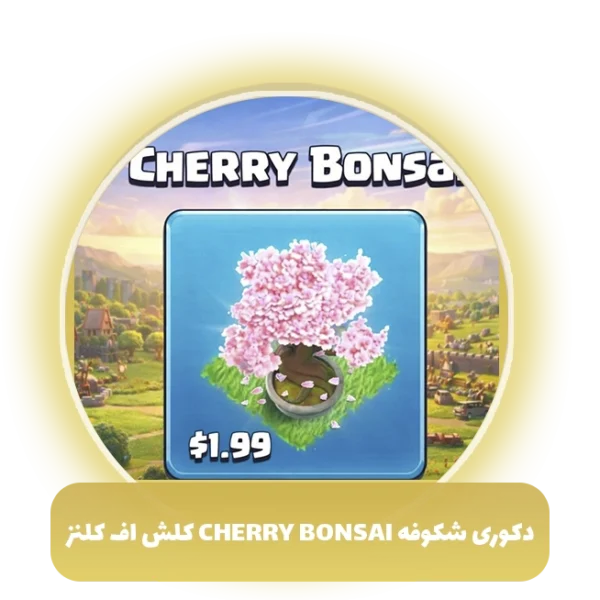 آفر دکوری شکوفه CherryBonsai کلش اف کلنز